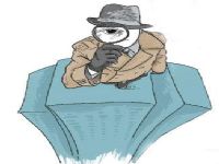 泽库县取证公司解说第三者承担离婚赔偿责任吗